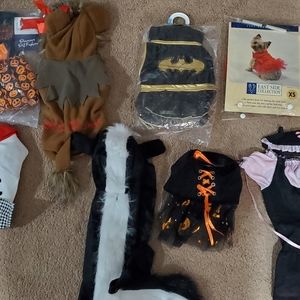 Various brands of Halloween costumes for small dog